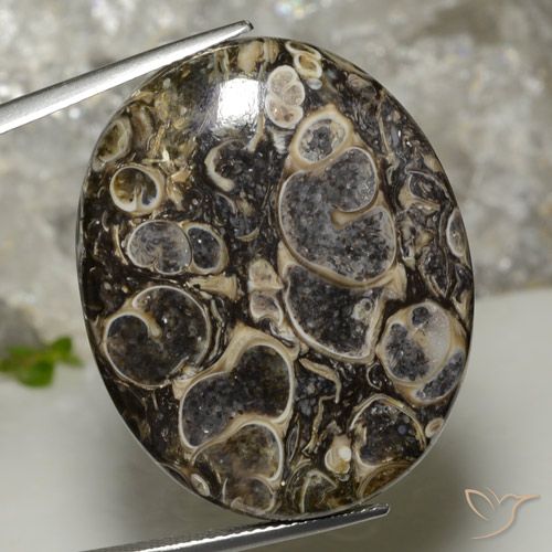 37.90ct Natürlicher Mehrfarbig Jaspis, Oval, Lichtundurchlässig