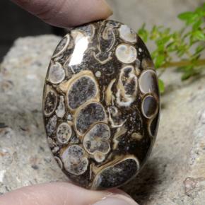 48,18 ctw natürlicher mehrfarbiger Jaspis, Oval Schliff, Lichtundurchlässig