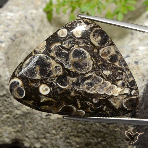 41.13ct Natürlicher Mehrfarbig Jaspis, Trillion, Lichtundurchlässig