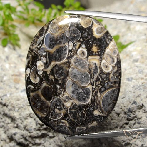 34.14ct Natürlicher Mehrfarbig Jaspis, Oval, Lichtundurchlässig