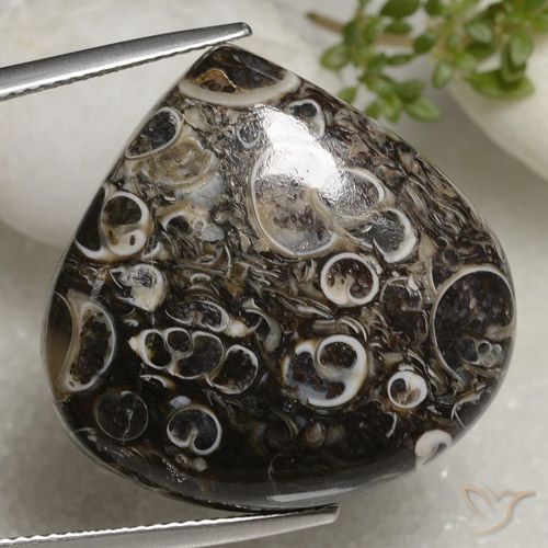 35.93ct Natürlicher Mehrfarbig Jaspis, Birnenform, Lichtundurchlässig