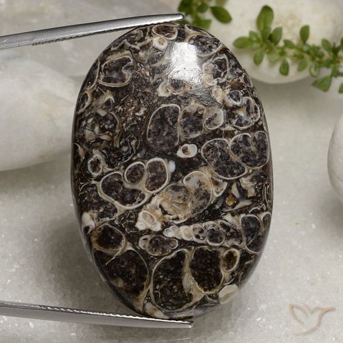50.37ct Natürlicher Mehrfarbig Jaspis, Oval, Lichtundurchlässig