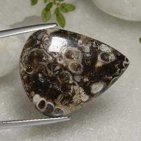 9,17 ctw natürlicher Mehrfarbig Jaspis, Birnenform, Lichtundurchlässig