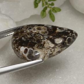 9,17 ctw natürlicher Mehrfarbig Jaspis, Birnenform, Lichtundurchlässig