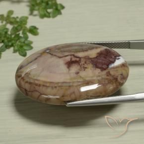 9,17 ctw natürlicher Mehrfarbig Jaspis, Oval, Lichtundurchlässig
