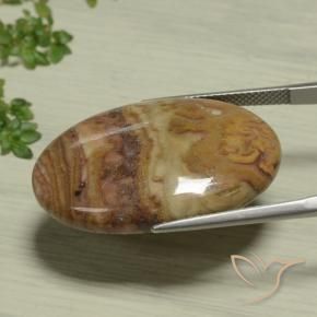 9,17 ctw natürlicher Mehrfarbig Jaspis, Oval, Lichtundurchlässig