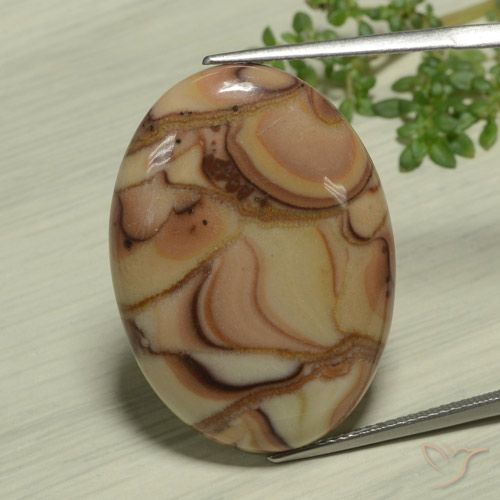 25.36ct Natürlicher Mehrfarbig Jaspis, Oval, Lichtundurchlässig