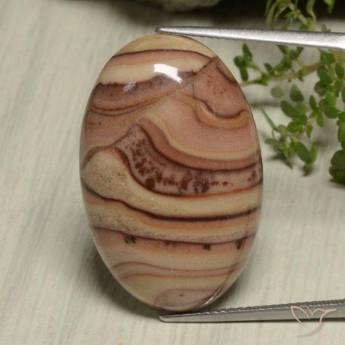 24.05ct Natürlicher Mehrfarbig Jaspis, Oval, Lichtundurchlässig