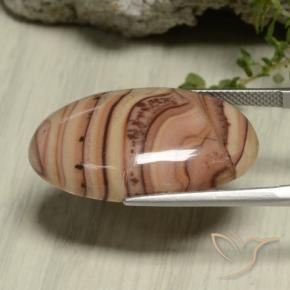 9,17 ctw natürlicher Mehrfarbig Jaspis, Oval, Lichtundurchlässig