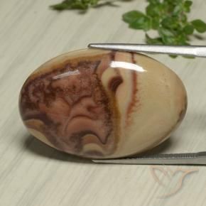 9,17 ctw natürlicher Mehrfarbig Jaspis, Oval, Lichtundurchlässig