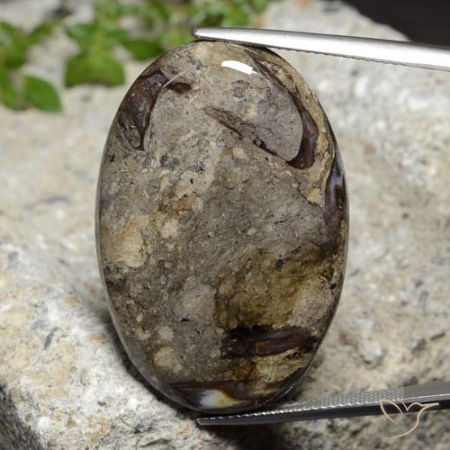 42.92ct Natürlicher Mehrfarbig Jaspis, Oval, Lichtundurchlässig