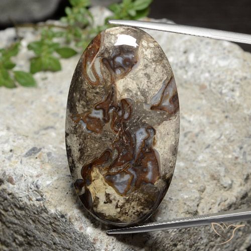 46.44ct Natürlicher Mehrfarbig Jaspis, Oval, Lichtundurchlässig