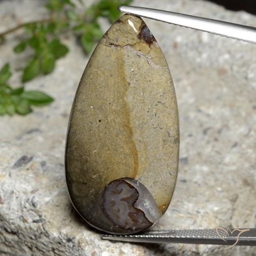 24.26ct Natürlicher Mehrfarbig Jaspis, Birnenform, Lichtundurchlässig