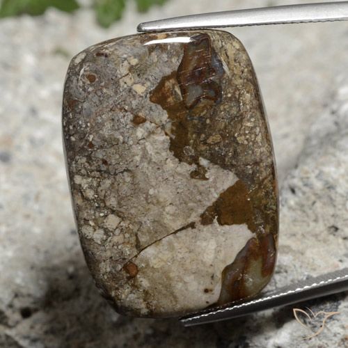 26.06ct Natürlicher Mehrfarbig Jaspis, Kissen, Lichtundurchlässig