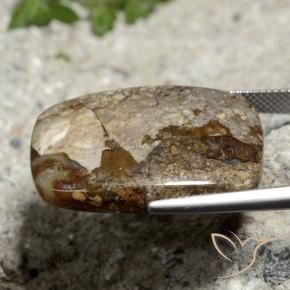 9,17 ctw natürlicher Mehrfarbig Jaspis, Kissen, Lichtundurchlässig