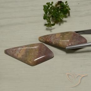 48.56 ct natürliche Mehrfarbig Jaspis-Edelsteine, Fantasie, Lichtundurchlässig
