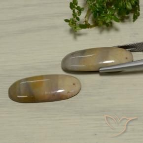 17.37 ct natürliche Mehrfarbig Jaspis-Edelsteine, Oval, Lichtundurchlässig