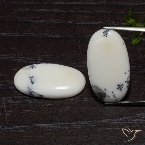 18.19ctw Natürlicher Weiß mit Schwarz Jaspis, Oval, Lichtundurchlässig