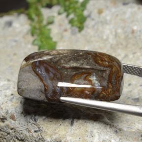 9,17 ctw natürlicher Mehrfarbig Jaspis, Kissenschliff, Lichtundurchlässig