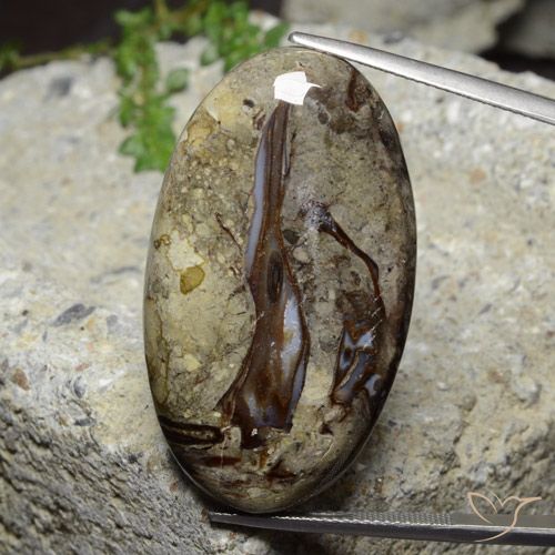 46.39ct Natürlicher Mehrfarbig Jaspis, Oval, Lichtundurchlässig