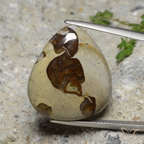 22.24ct Natürlicher Mehrfarbig Jaspis, Birnenform, Lichtundurchlässig