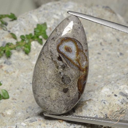 23.89ct Natürlicher Mehrfarbig Jaspis, Birnenform, Lichtundurchlässig