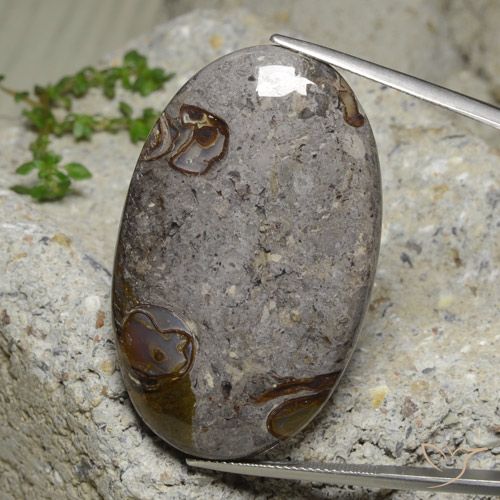 60.74ct Natürlicher Mehrfarbig Jaspis, Oval, Lichtundurchlässig