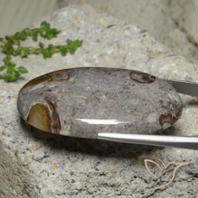 9,17 ctw natürlicher Mehrfarbig Jaspis, Oval, Lichtundurchlässig