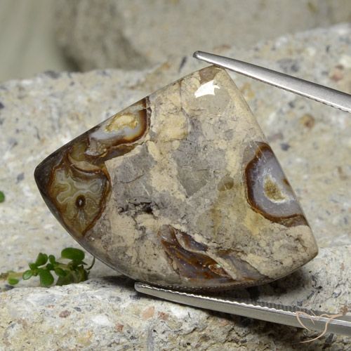 28.71ct Natürlicher Mehrfarbig Jaspis, Trillion, Lichtundurchlässig