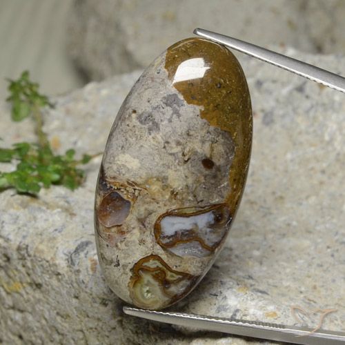 30.95ct Natürlicher Mehrfarbig Jaspis, Oval, Lichtundurchlässig