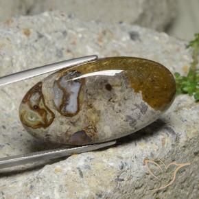 9,17 ctw natürlicher Mehrfarbig Jaspis, Oval, Lichtundurchlässig