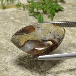 9,17 ctw natürlicher Mehrfarbig Jaspis, Trillion, Lichtundurchlässig