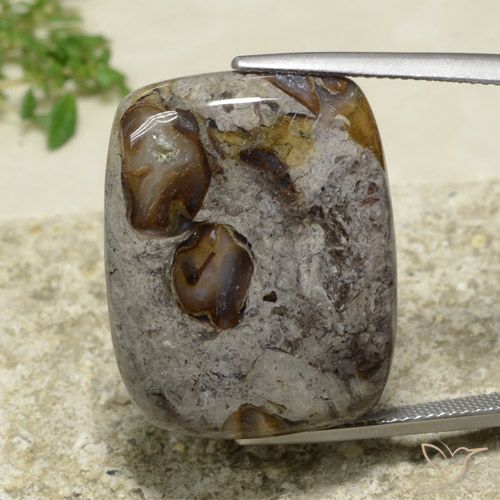 31.55ct Natürlicher Mehrfarbig Jaspis, Kissen, Lichtundurchlässig