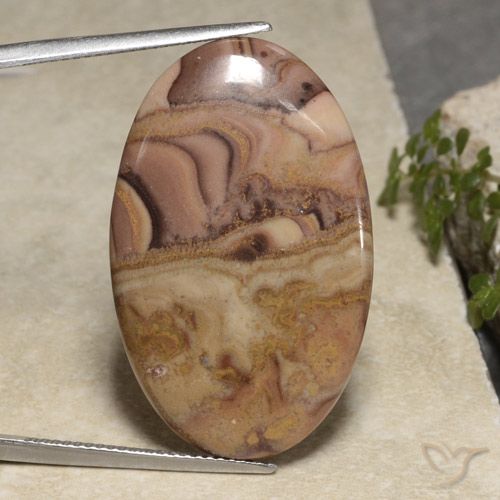 24.61ct Natürlicher Mehrfarbig Jaspis, Oval, Lichtundurchlässig