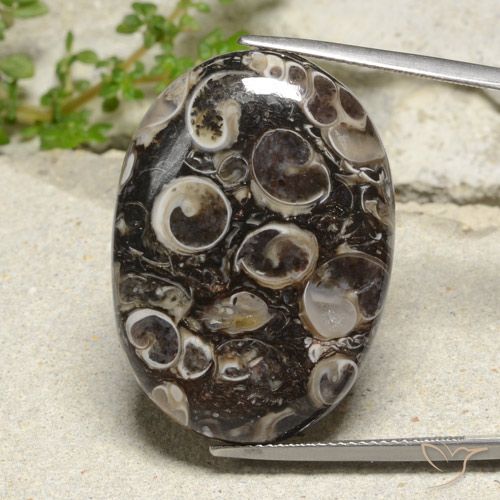 35.02ct Natürlicher Mehrfarbig Jaspis, Oval, Lichtundurchlässig