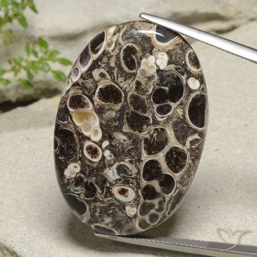 47.67ct Natürlicher Mehrfarbig Jaspis, Oval, Lichtundurchlässig