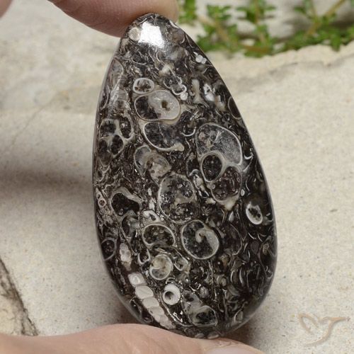 48.79ct Natürlicher Mehrfarbig Jaspis, Birnenform, Lichtundurchlässig