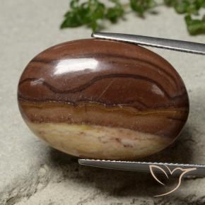 9,17 ctw natürlicher Mehrfarbig Jaspis, Oval, Lichtundurchlässig