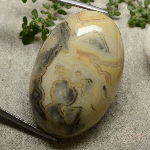 62.76ct Natürlicher Mehrfarbig Jaspis, Oval, Lichtundurchlässig