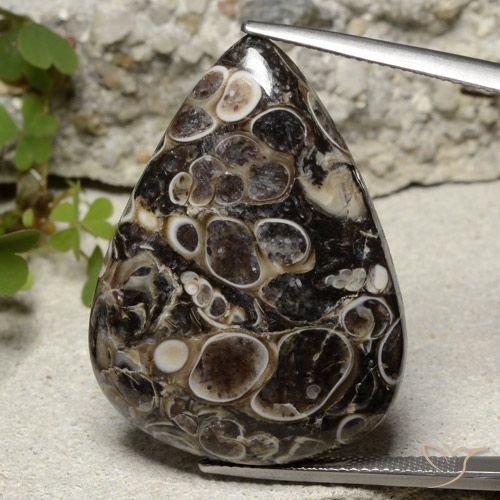 39.20ct Natürlicher Mehrfarbig Jaspis, Birnenform, Lichtundurchlässig