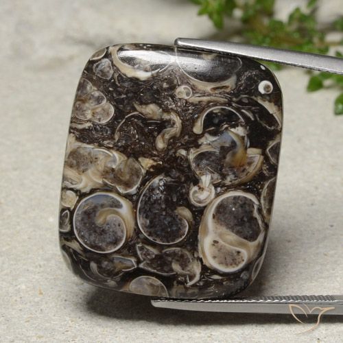 33.41ct Natürlicher Mehrfarbig Jaspis, Kissen, Lichtundurchlässig