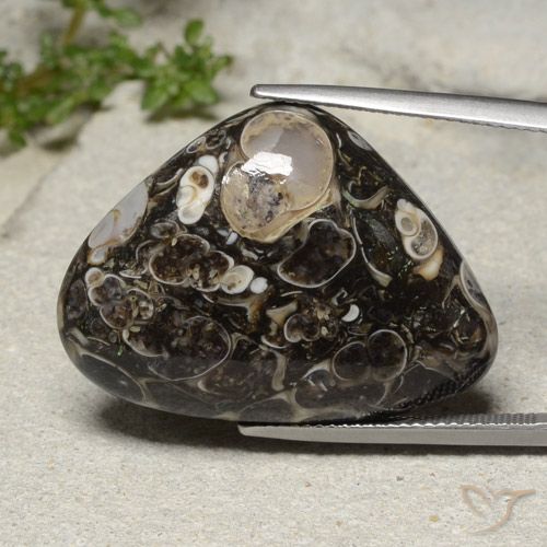 31.57ct Natürlicher Mehrfarbig Jaspis, Birnenform, Lichtundurchlässig