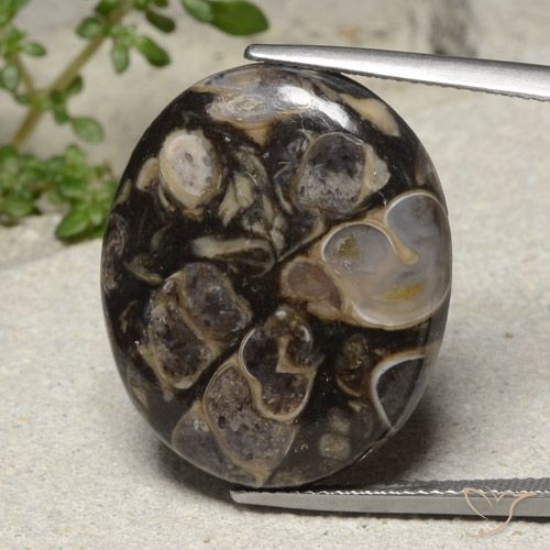 21.18ct Natürlicher Mehrfarbig Jaspis, Oval, Lichtundurchlässig