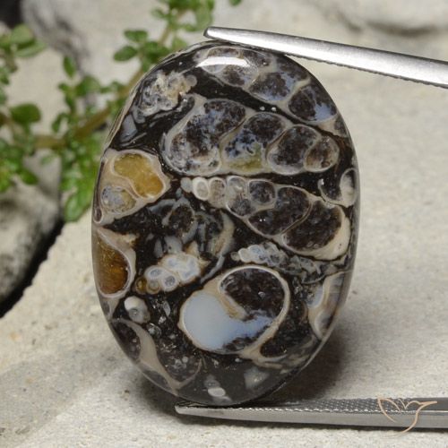 31.02ct Natürlicher Mehrfarbig Jaspis, Oval, Lichtundurchlässig