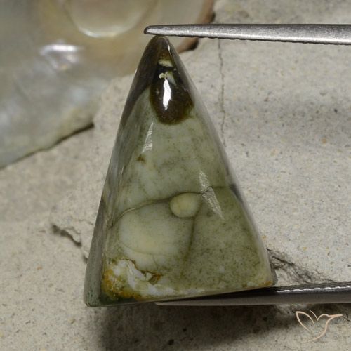 17.87ct Natürlicher Mehrfarbig Jaspis, Trillion, Lichtundurchlässig