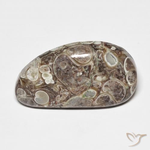 20.68ct Natürlicher Mehrfarbig Jaspis, Fantasie, Lichtundurchlässig