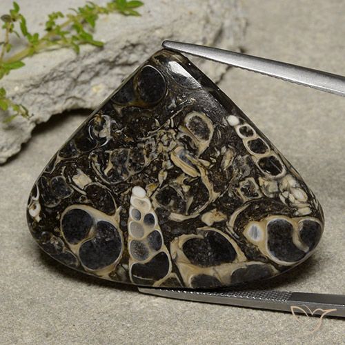 41.63ct Natürlicher Mehrfarbig Jaspis, Birnenform, Lichtundurchlässig