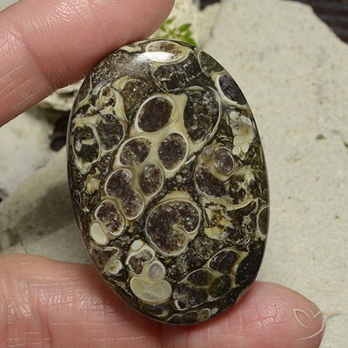 71.95ct Natürlicher Mehrfarbig Jaspis, Oval, Lichtundurchlässig