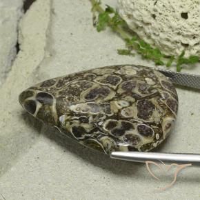 9,17 ctw natürlicher Mehrfarbig Jaspis, Birnenform, Lichtundurchlässig