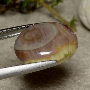 9,17 ctw natürlicher Mehrfarbig Jaspis, Oval Schliff, Lichtundurchlässig